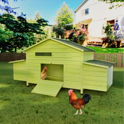 Chicken Coop With 2 Free Range Doors/Nesting