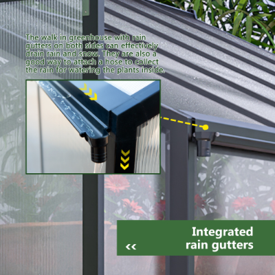 Outdoor Heavy Duty Walk-in Greenhouse