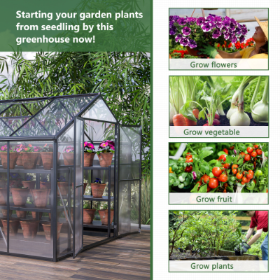 Outdoor Heavy Duty Walk-in Greenhouse