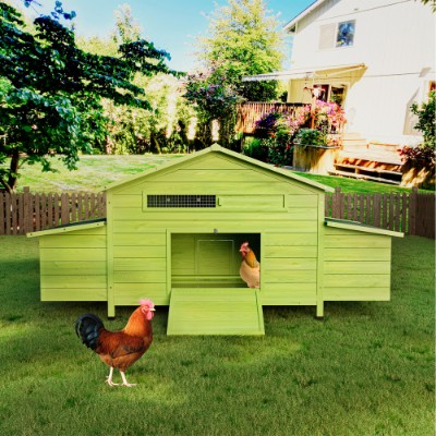 Chicken Coop With 2 Free Range Doors/Nesting