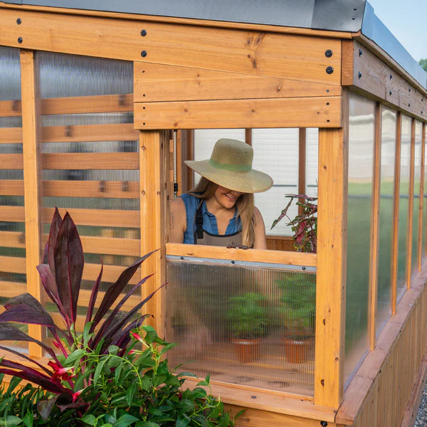 12x7 Zalie Greenhouse  4.8  (317)