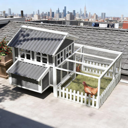 Classic Chicken Coop For 3-4 Chickens