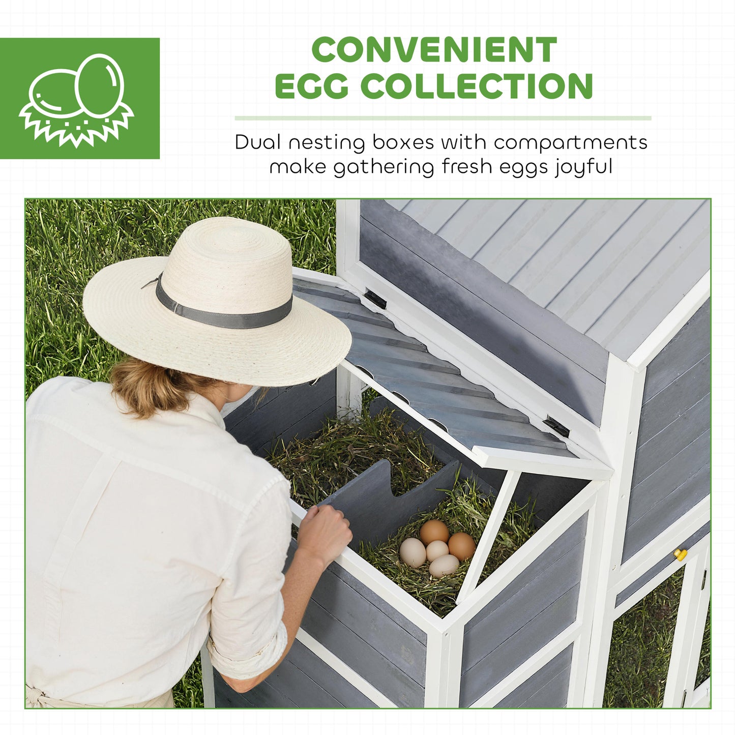 Chicken Coop 2-4 chickens