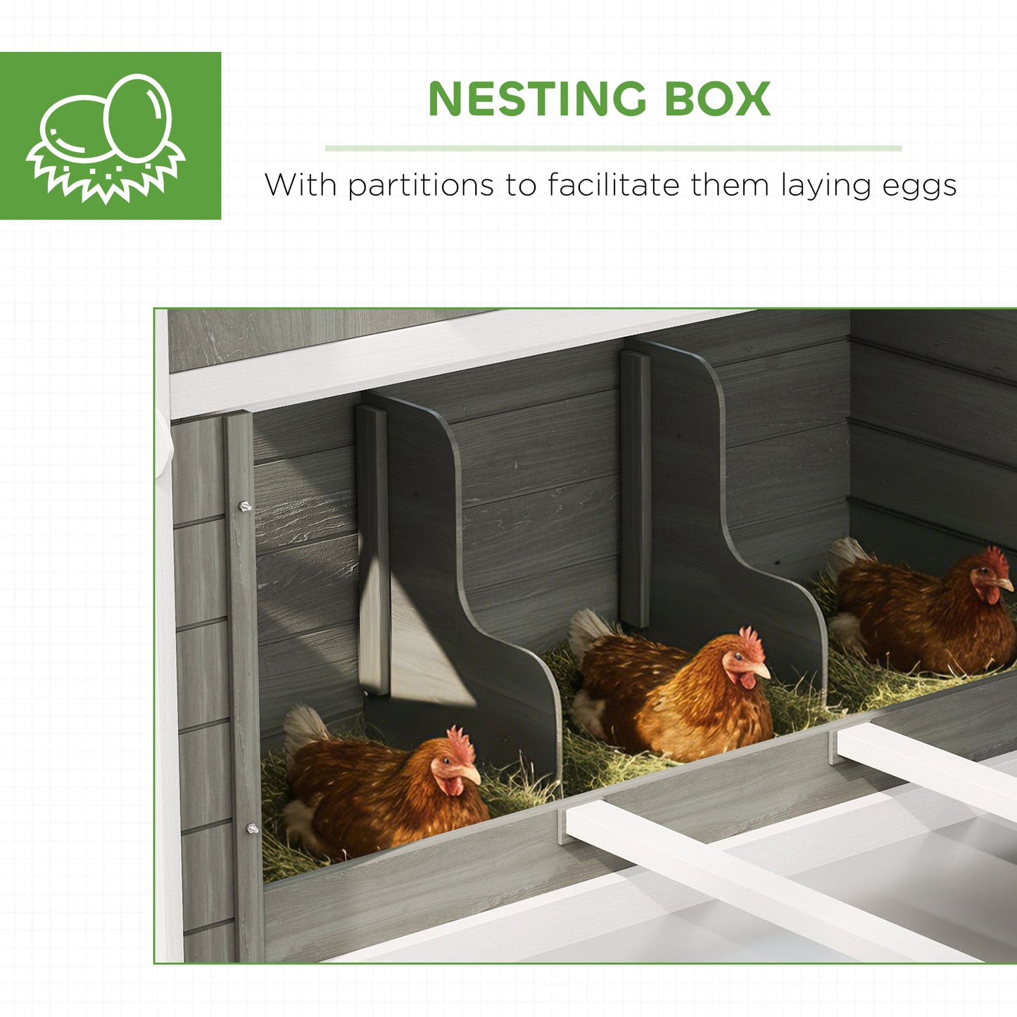 Wooden Chicken Coop for 8-10 Chickens