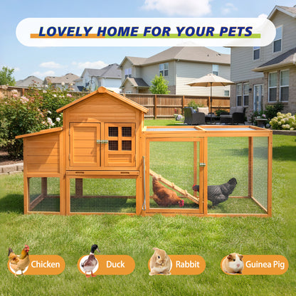 Classic Chicken Coop With Nest Box And Removable Tray