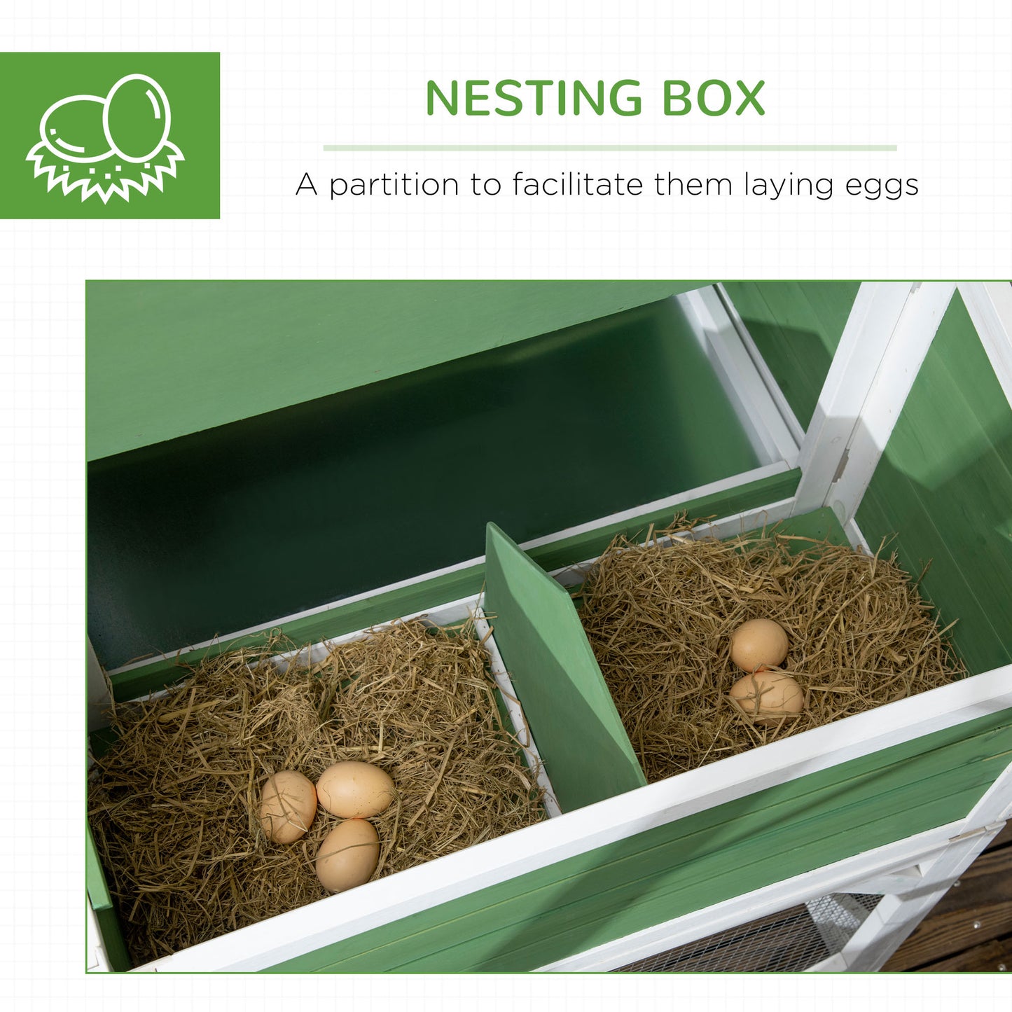 Small Green House Chicken Coop