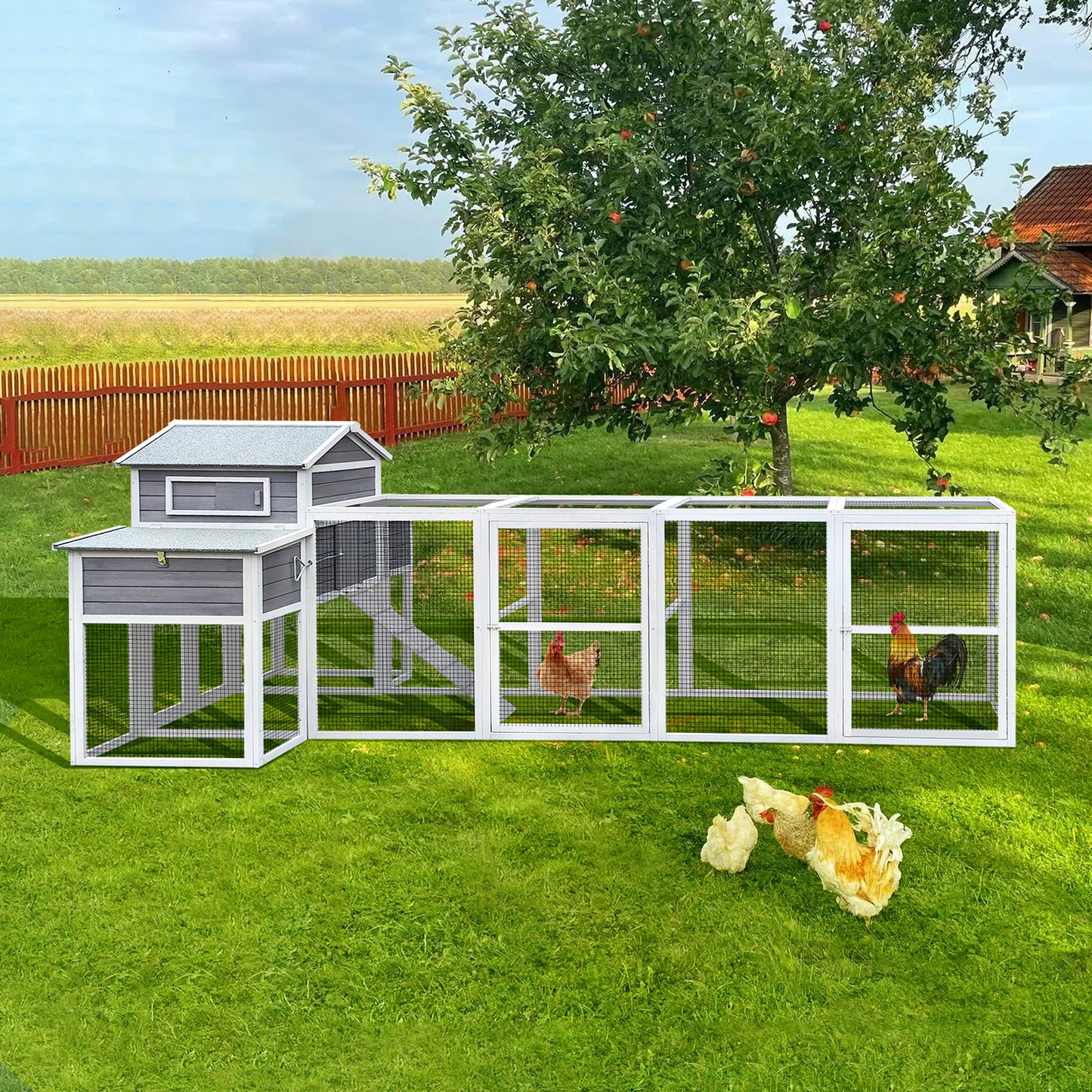 Wooden Chicken Coop