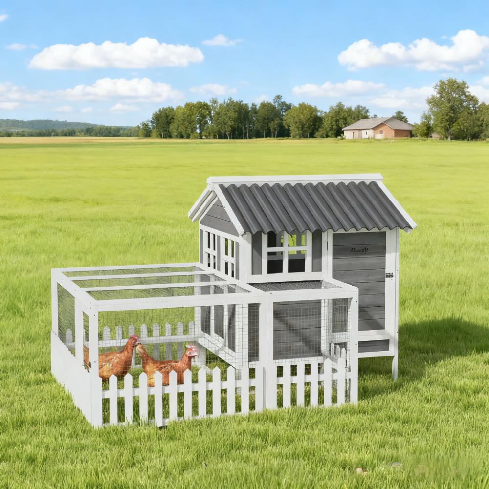 Classic Chicken Coop For 3-4 Chickens